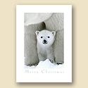 baby-bear-christmas-card-2010 baby-bear-christmas-card-2010
