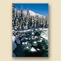 recycle-snow-christmas-card Winter scene of a snow-covered river