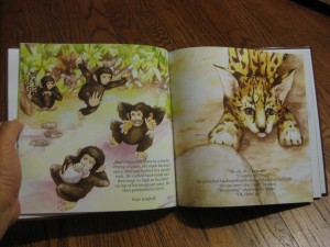 children's books about chimpanzees