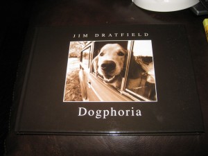 dog picture book