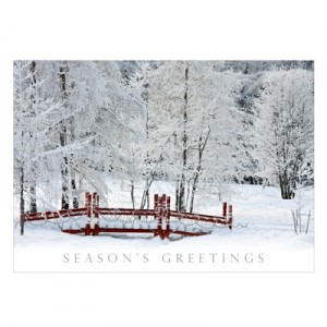 snowy scene christmas cards